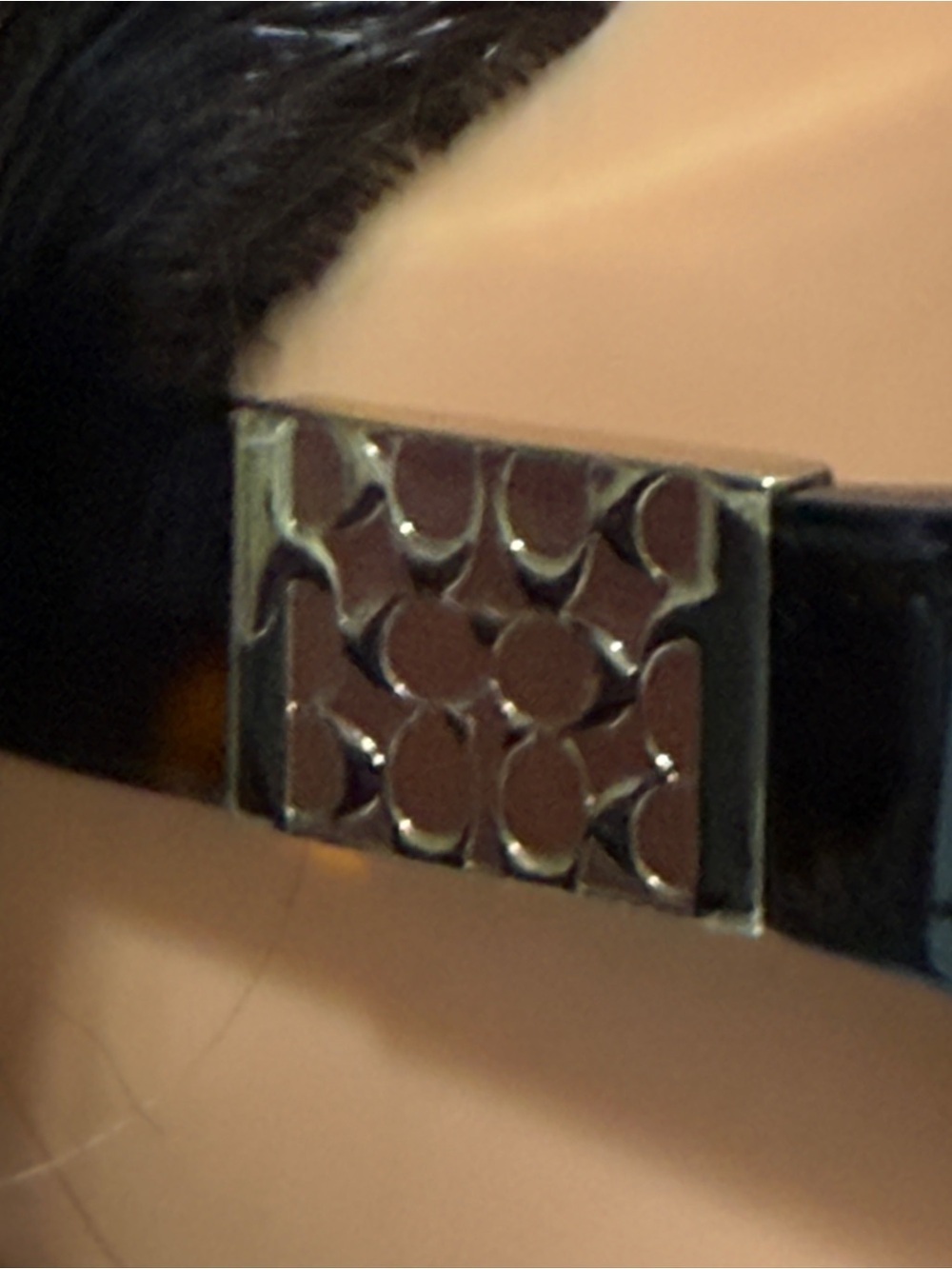 Coach Nina S494Tortoise Sunglasses featuring a dark brown tortoiseshell frame - Picture 14 of 16